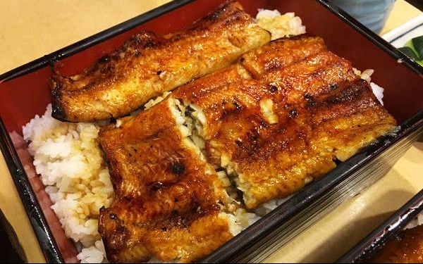 照片：「披著虎皮的貓」BLOG