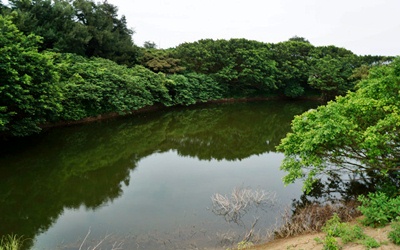 照片：「妮可」BLOG