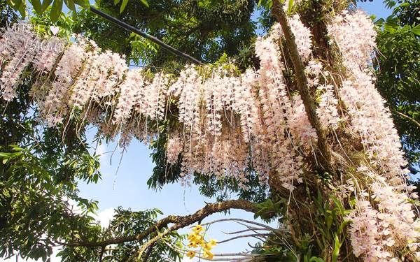 照片：「薇樂莉愛旅行」BLOG