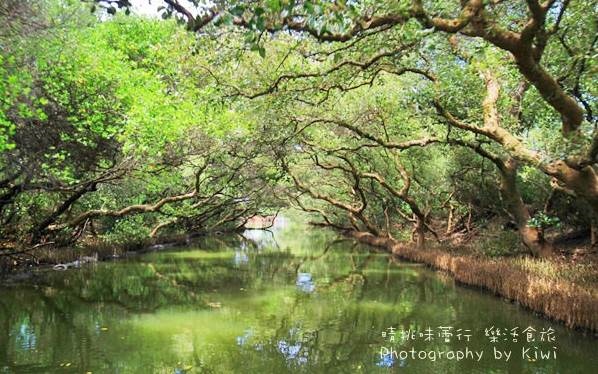 照片：「Kiwi」BLOG