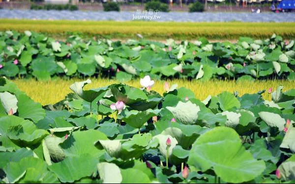 照片：「許傑」BLOG