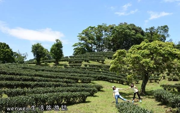 照片：「玟玟」BLOG