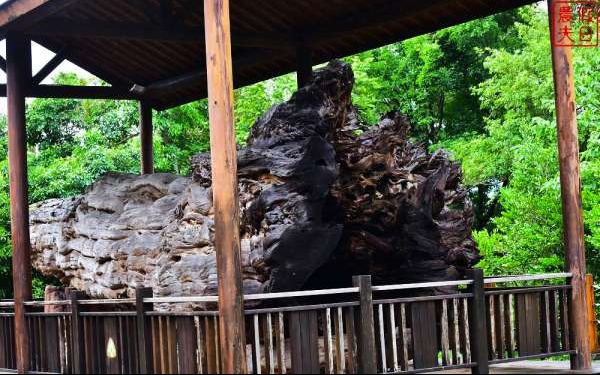 照片：「假日農夫」BLOG