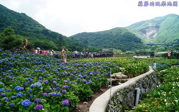 照片：「蘇菲」BLOG