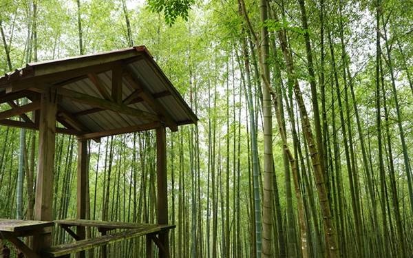 照片：「嘎眯」BLOG