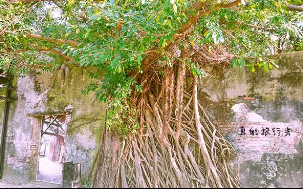照片：「藍貞貞」BLOG