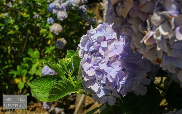 照片：「富嵃」BLOG