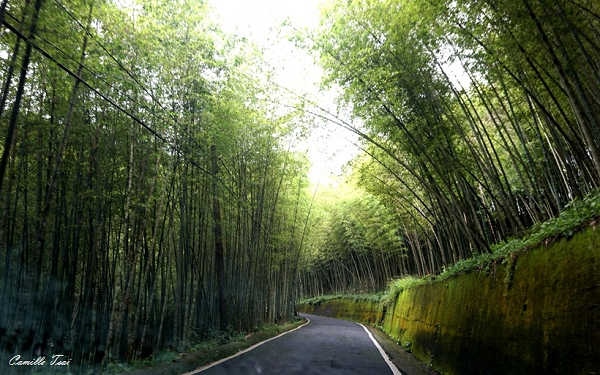照片：「嘎眯」BLOG