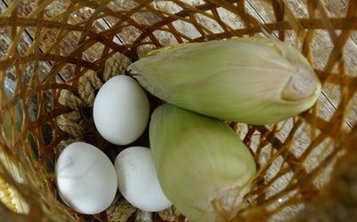 照片：「Amber」BLOG