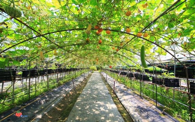 照片：「小芝」BLOG