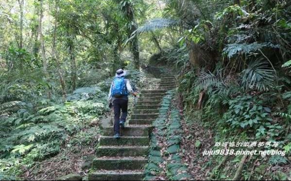 照片：「阿珠珠」BLOG
