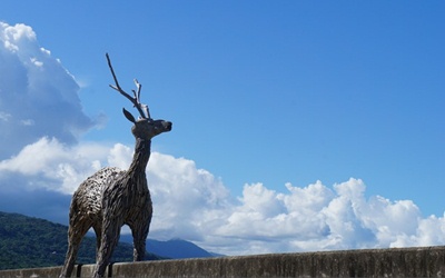 照片：「simon」BLOG