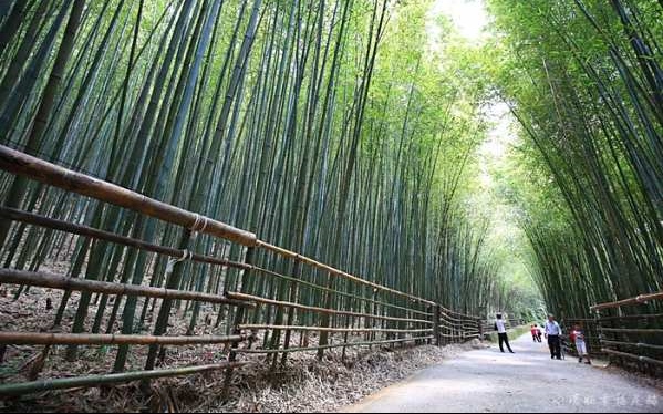 照片：「小環」BLOG