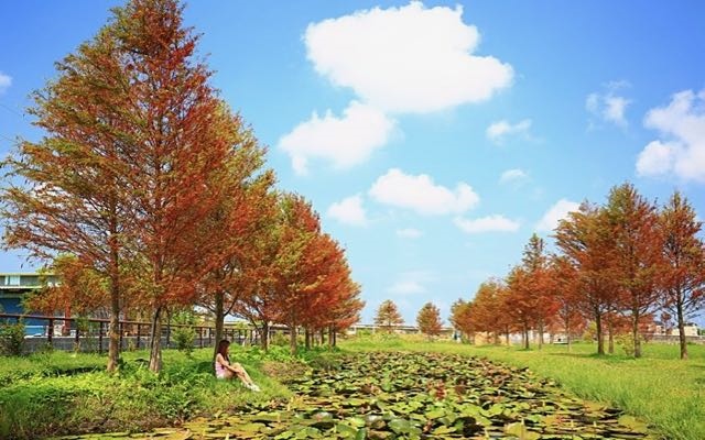 照片：「小環」BLOG