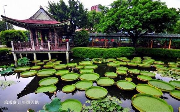 照片：「妃媽」BLOG