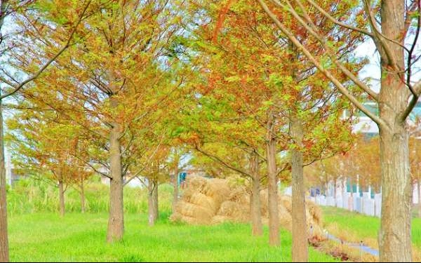 照片：「小兔」BLOG