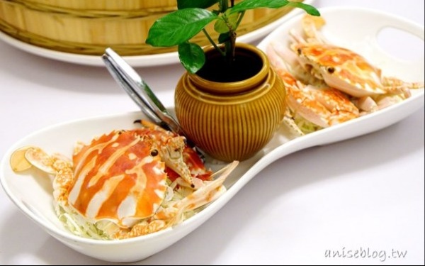 照片：「Anise」BLOG