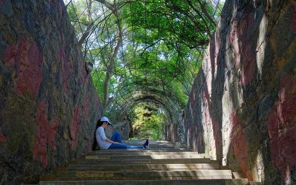 照片：「小q」BLOG