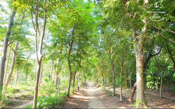 照片：「薇樂莉愛旅行」BLOG