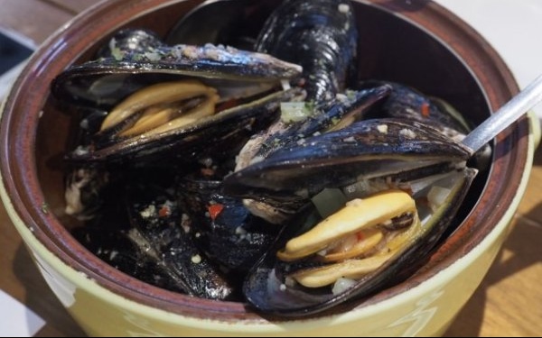 照片：「Anise」BLOG