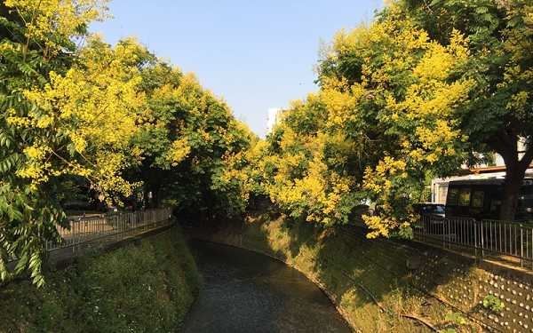 照片：「嘎眯」BLOG