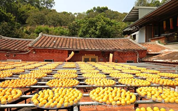 照片：「Kiwi」BLOG