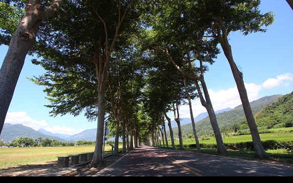 照片：「Nini and Blue」BLOG