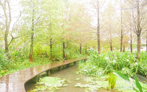 照片：「penny」BLOG