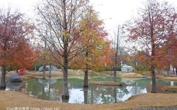 照片：「Kiwi」BLOG