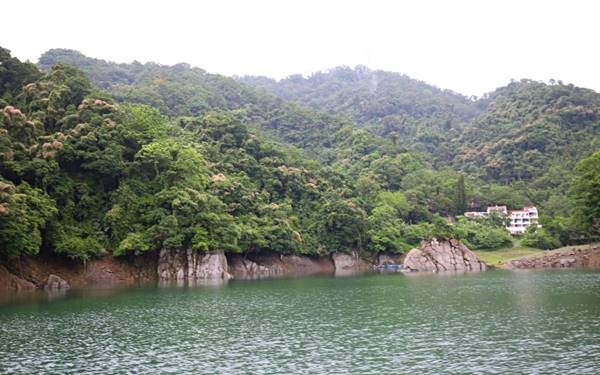 照片：「Kiwi」BLOG