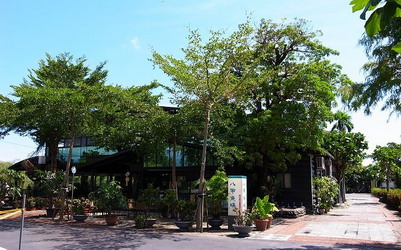 照片：「Julia」BLOG
