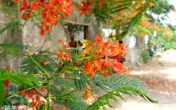 照片：「艾醬」BLOG