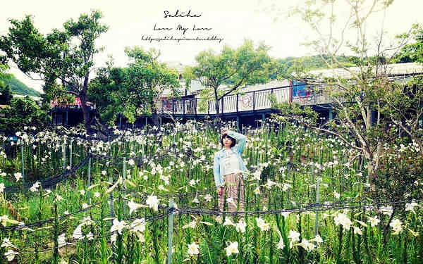 照片：「莎莉哈小姐」BLOG