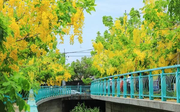 照片：「富嵃」BLOG