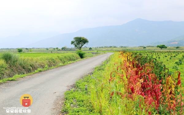 照片：「Yvonne Lin」BLOG