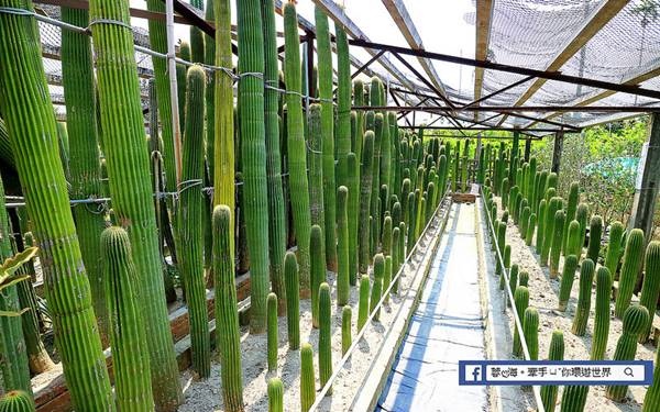 照片：「蓉蓉」BLOG