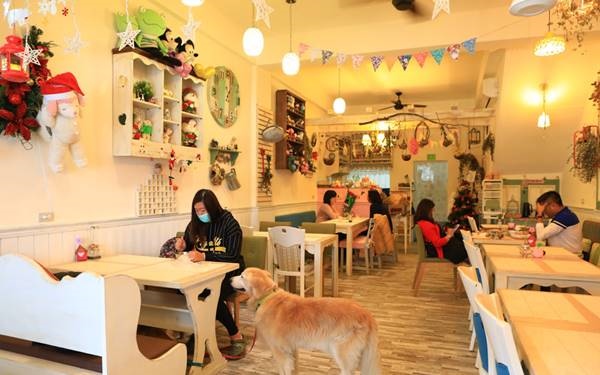 照片：「miniko」BLOG