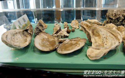 照片：「饅頭弟」BLOG