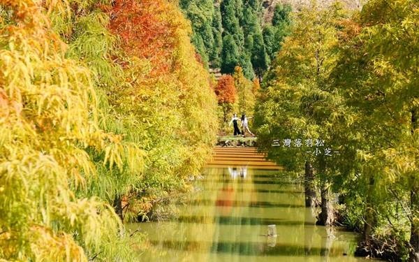 照片：「小芝」BLOG