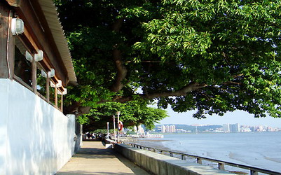 照片：「潔琪」BLOG