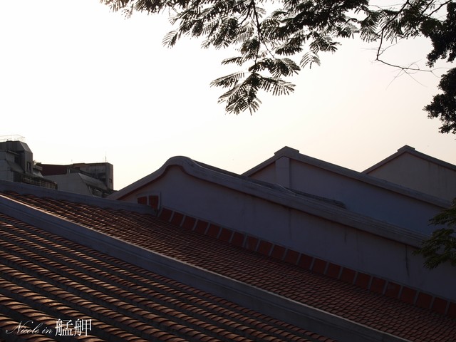 照片：「妮可」BLOG