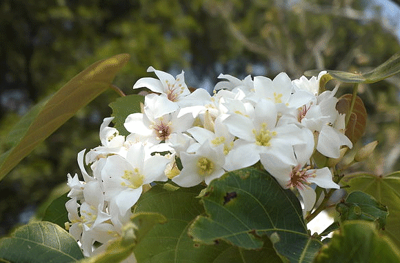 照片：「nana」BLOG