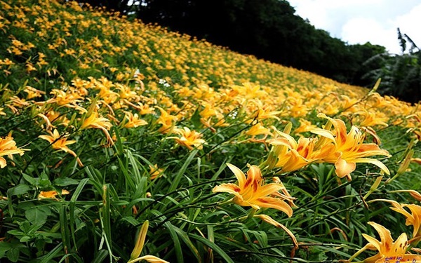 照片：「壞波妞」BLOG