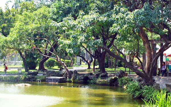 照片：「妮可」BLOG