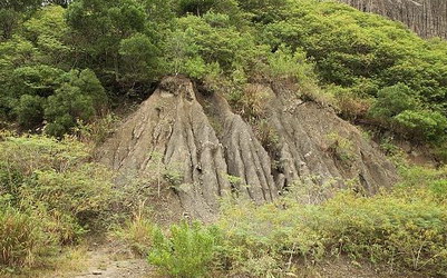 照片：「焦小糖」BLOG