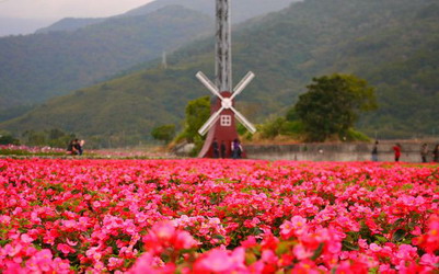 照片：「妮可」BLOG