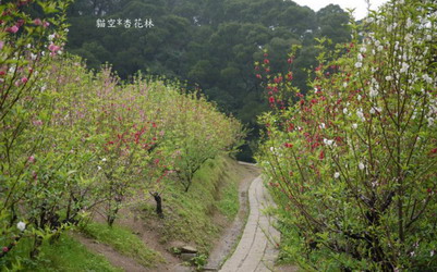 照片：「妮可」BLOG