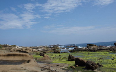 照片：「妮可」BLOG
