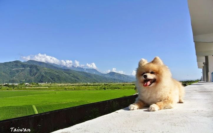 照片：「旅行養分」BLOG