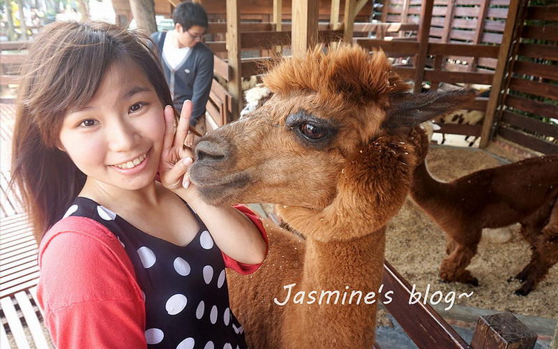 照片：「Jasmine綺綺」BLOG